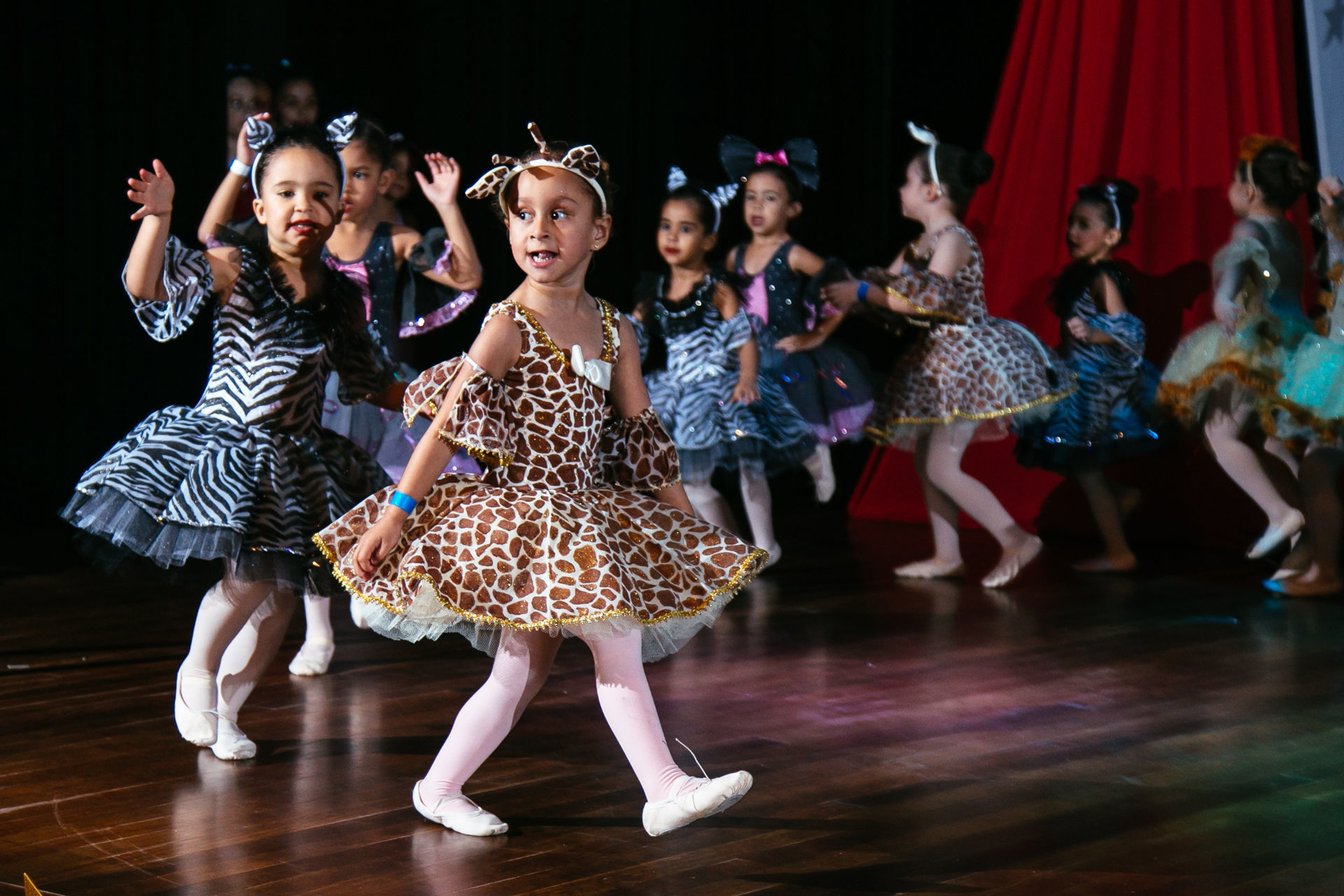 Foto CPP 2019 - Imagem 6